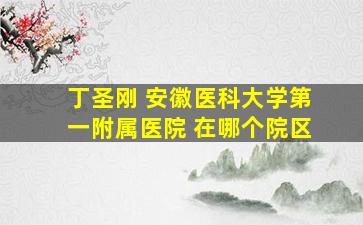 丁圣刚 安徽医科大学第一附属医院 在哪个院区